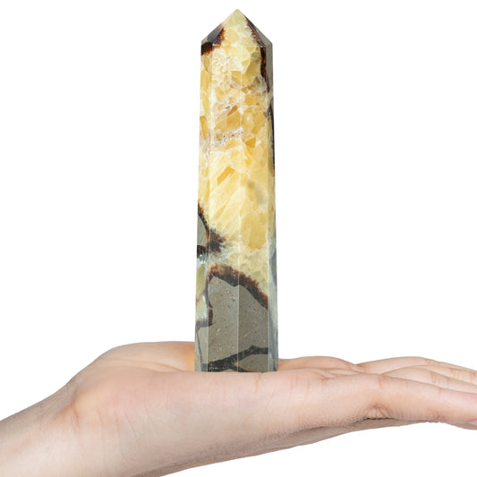 Septarian Wand