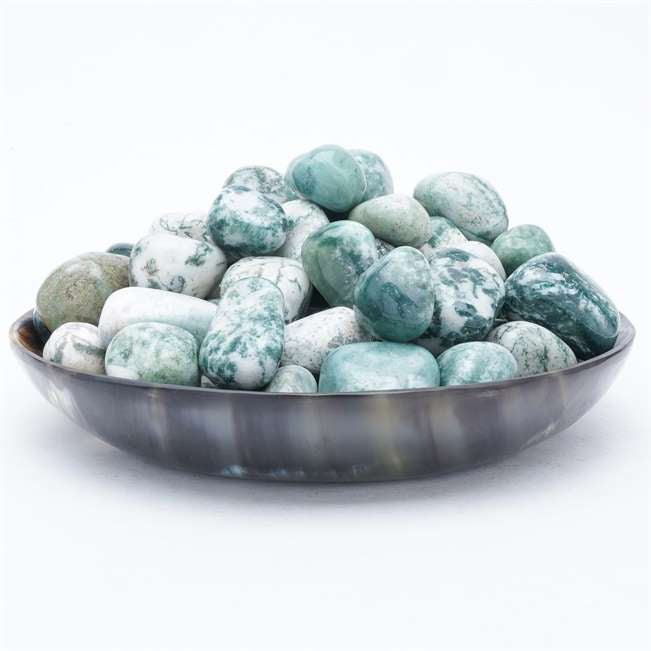 Tree agate Crystals Tumbled Stones